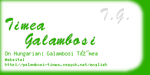 timea galambosi business card